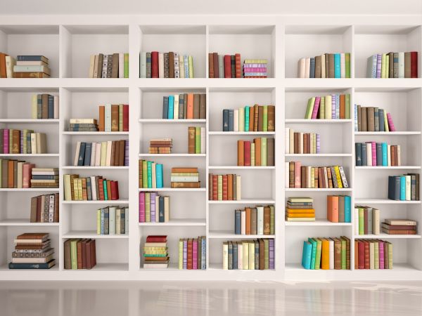 Bookshelf Assembly in Vancouver